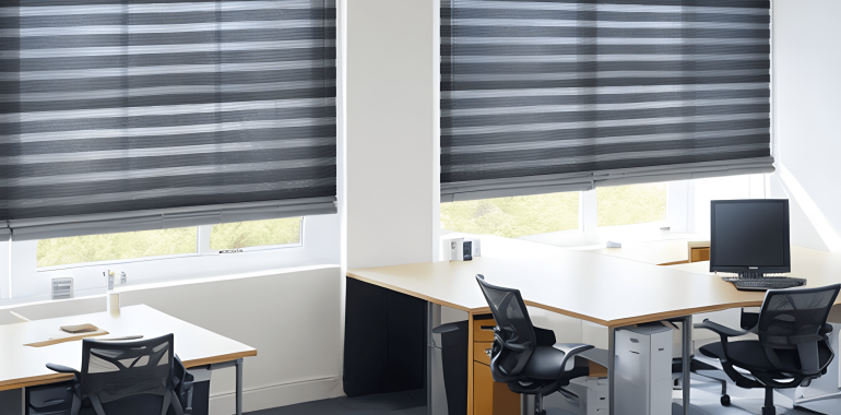 Combi Blinds